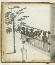 Papaya-tre, rettssaker ved Dessave og en 