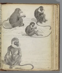 Selvportrett Jan Brandes