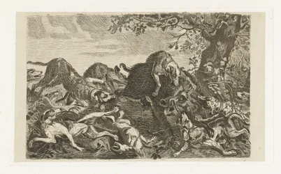 Hundejakt etter villsvin