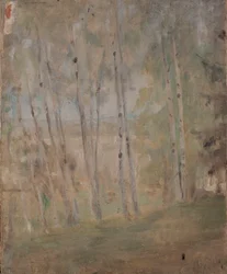 Mariino - Bjørketrær