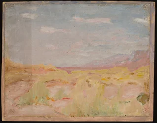 Steppe (Transkaspiske region). Fra en reise til Turkestan