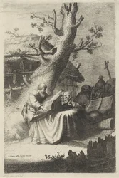 H. Hieronymus leser under et tre