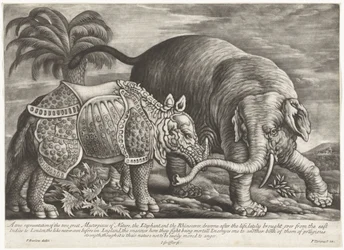 Olifant en neushoorn En sann representasjon av de to store mesterverkene i naturen, elefanten og neshornet (tittel på objektet)