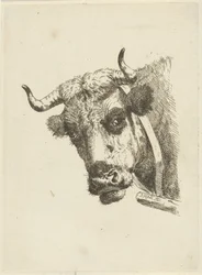 kuhode