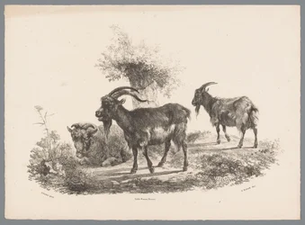 To geiter og en sau ved et tre Beesten Studien av J. Kobell etter Paul Potter Nr. 1 (serietittel)