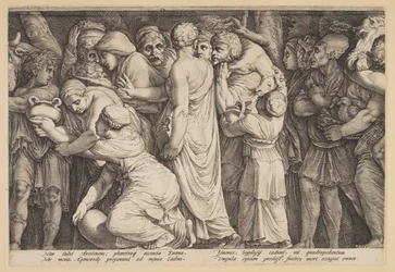 Straffen av Niobe (Tavle 7)