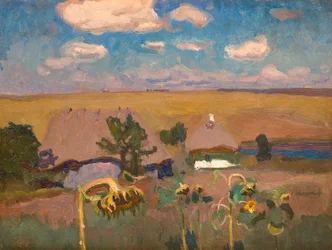 Solsikker