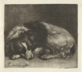 Sovende hund, muligens en spaniel