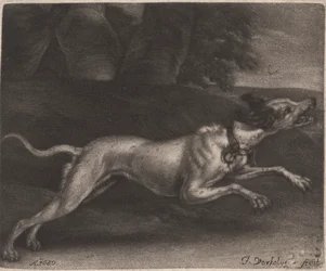 En løpende hund