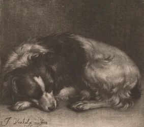 En sovende hund