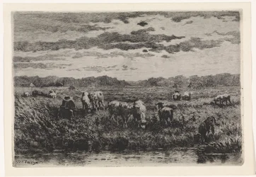 Landskap med sauer