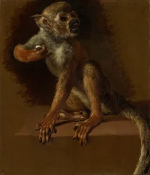 En sittende ape