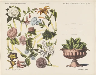 Hvordan lage en blomsterbukett / (1) (tittel på objekt) Nye nederlandske barnetrykk (serietittel på objekt) Funkes trykk (serietittel på objekt)