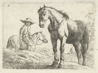 En hest, en mann på hesteryggen i bakgrunnen