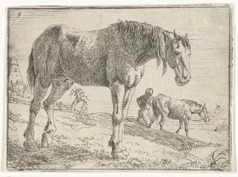 stående hest Landskap med hester (serietittel)