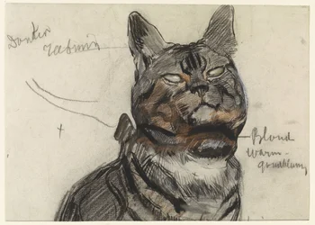 Katt, med fargenotater