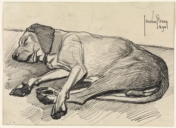 Sovende hund, til venstre