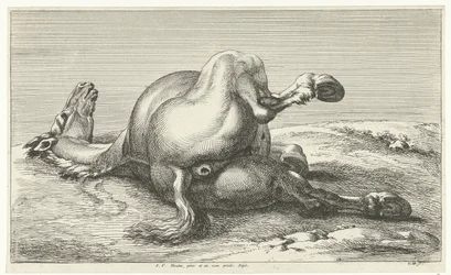 falt hest Dead Horses (serietittel)