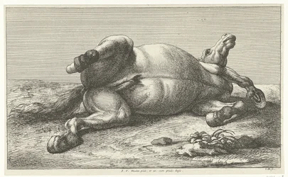 Død hest liggende på venstre side Dead Horses (serietittel)