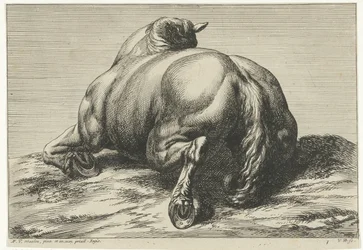 Fallen hest på magen sett bakfra Fallen hester (serietittel)