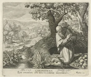H. Franciscus Heiligen (serietittel)