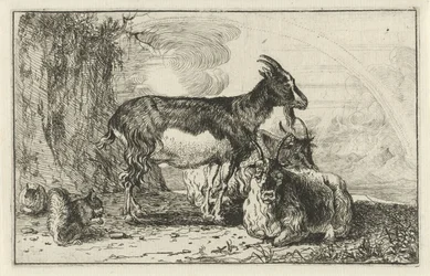 geiter Dyr (serietittel) Zoography (serietittel)