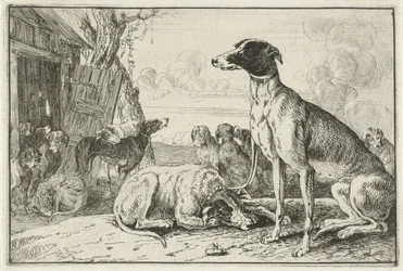 Kennel Dyr (serietittel) Zoography (serietittel)