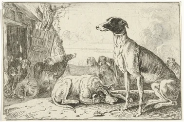 Kennel Dyr (serietittel) Zoography (serietittel)