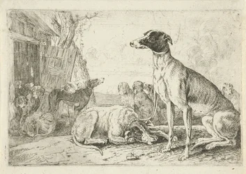 Dog Kennel Animals (serietittel) Zoographiam (serietittel)
