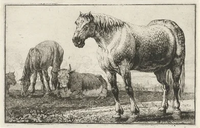 Hester og kyr Dyr (serietittel) Zoography (serietittel)