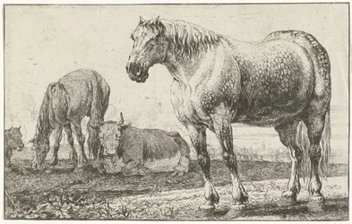 Hester og kyr Dyr (serietittel) Zoographiam (serietittel)