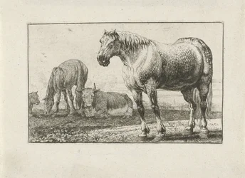 Hester og kyr Dyr (serietittel) Zoography (serietittel)