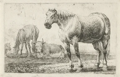 Hester og kyr Dyr (serietittel) Zoography (serietittel)