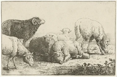 Sauedyr (serietittel) Zographiam (serietittel)