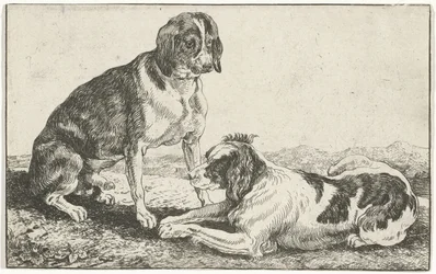 To hvilende hunder Dyr (serietittel) Zoography (serietittel)