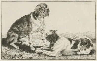 To hvilende hunder Dyr (serietittel) Zoography (serietittel)