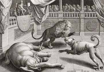Alexander den store ser på dyr slåss, 1500-tallet