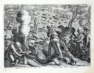 Jaktkaniner, illustrasjon fra 