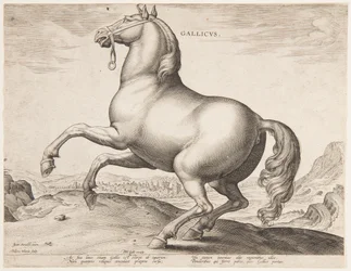 En fransk hest, fra det første settet av "Equile Joannis Austriaci"