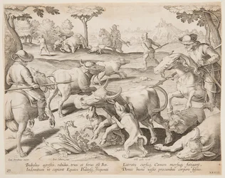 Buffalo Hunt, plate 27 i Hunts of Game, Birds and Fish-serien