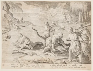 Krokodillejakt i Tentyra, i Egypt, tallerken 30 fra Hunts of Wild Animals, Birds and Fish-serien