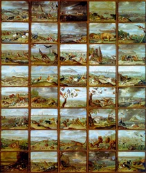 Dyr Tabell som viser rom som tilsvarer ulike dyrearter. Maleri av Jan Van Kessel (1626-1679) Madrid fra 1600-tallet, Prado-museet
