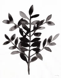 Botanisk med Nagi Fern III (blekk på papir)