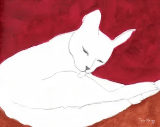 Hvit katt med russet og rose, ca. 2024 (blyant, akvarell og kasein på papir)