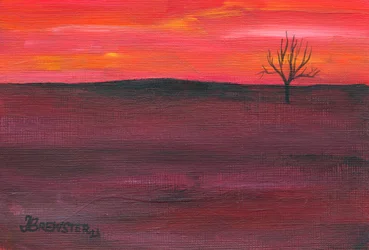 Ensomt tre ved solnedgang