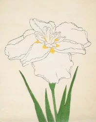 Bandai-Nei, 1