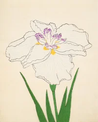 Cho-Hiyen, nr. 91, 1890 (treblokktrykk i farger)