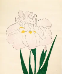 En-Yo-No-Ten, nr. 73, 1890 (treblokktrykk i farger)