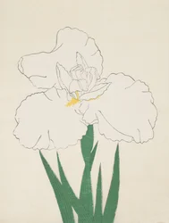 Fuji-ingen snø. 13, 1890