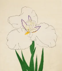 Hårvindu-med nr. 65, 1890 (Dette er DBock p Hayashi t)